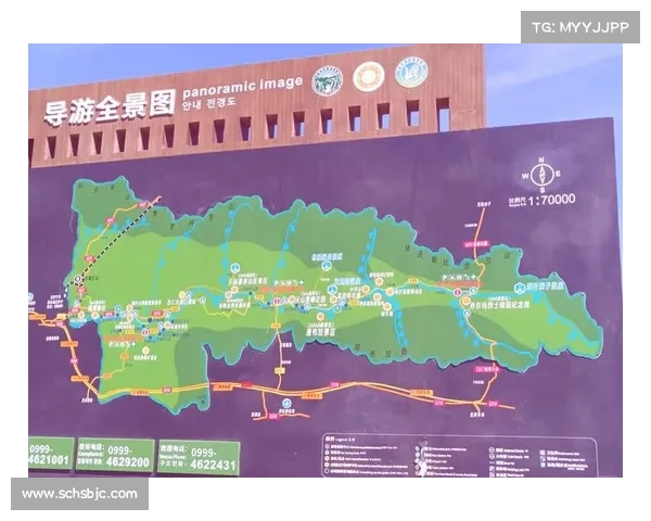 以部落为核心推动多元化发展的路径探析与实践经验总结