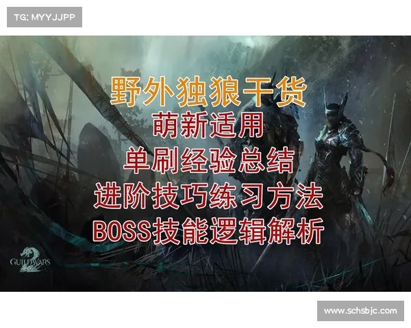 揭秘《激战2》传奇武器制作技巧全面攻略助你打造顶级神器 揭秘《激战2》传奇武器制作技巧全面攻略助你打造顶级神器