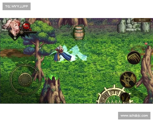 《从新手到大师：深入探索地下城与勇士成长之路》