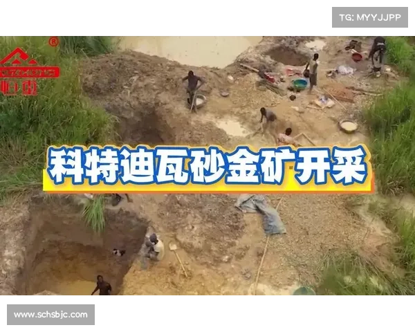 全球金矿资源开采区分析及各国金矿开采现状对比研究